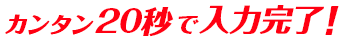 カンタン20秒で入力完了！